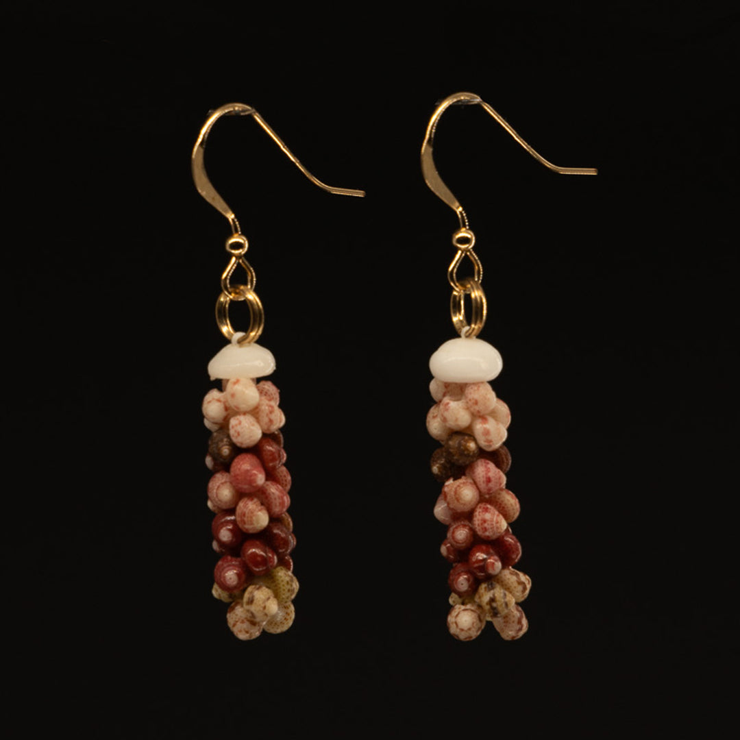 1" Niʻihau Shell Earring | Kahelelani | Poepoe Pālua