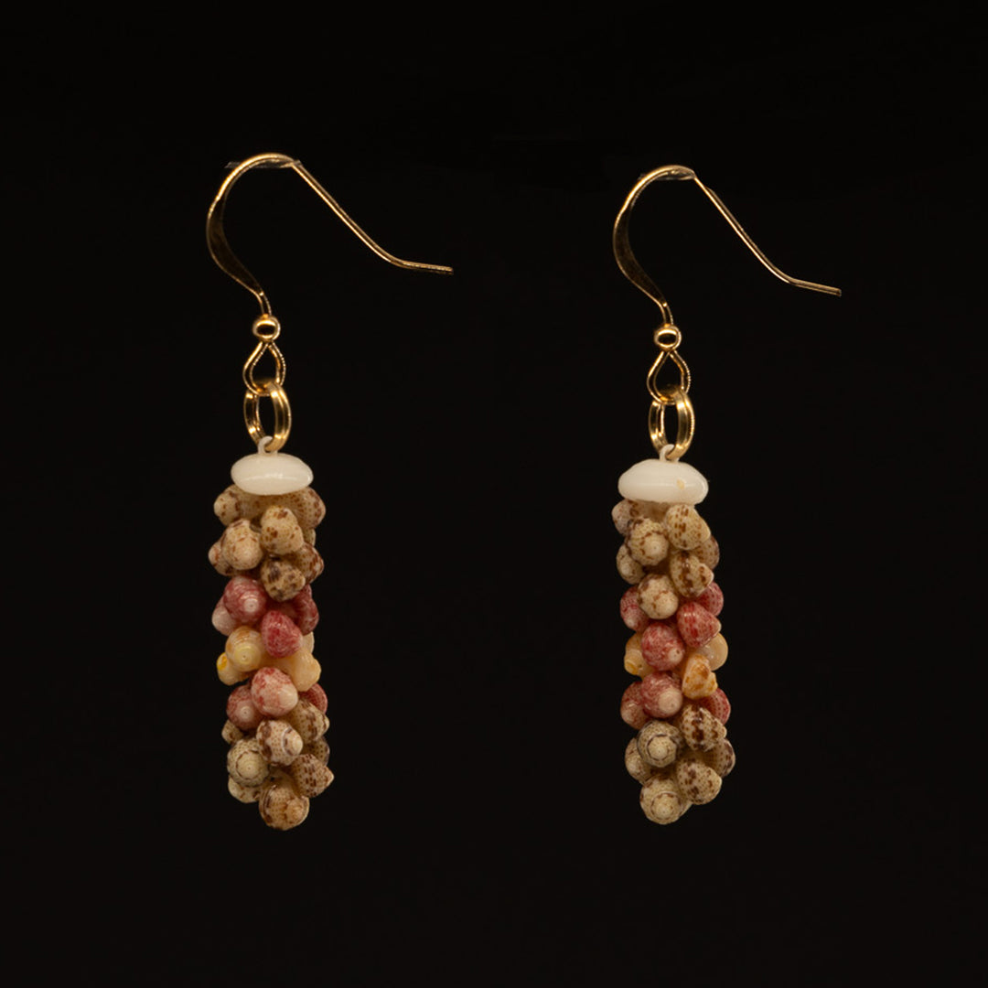 1" Niʻihau Shell Earring | Kahelelani | Poepoe Pālua
