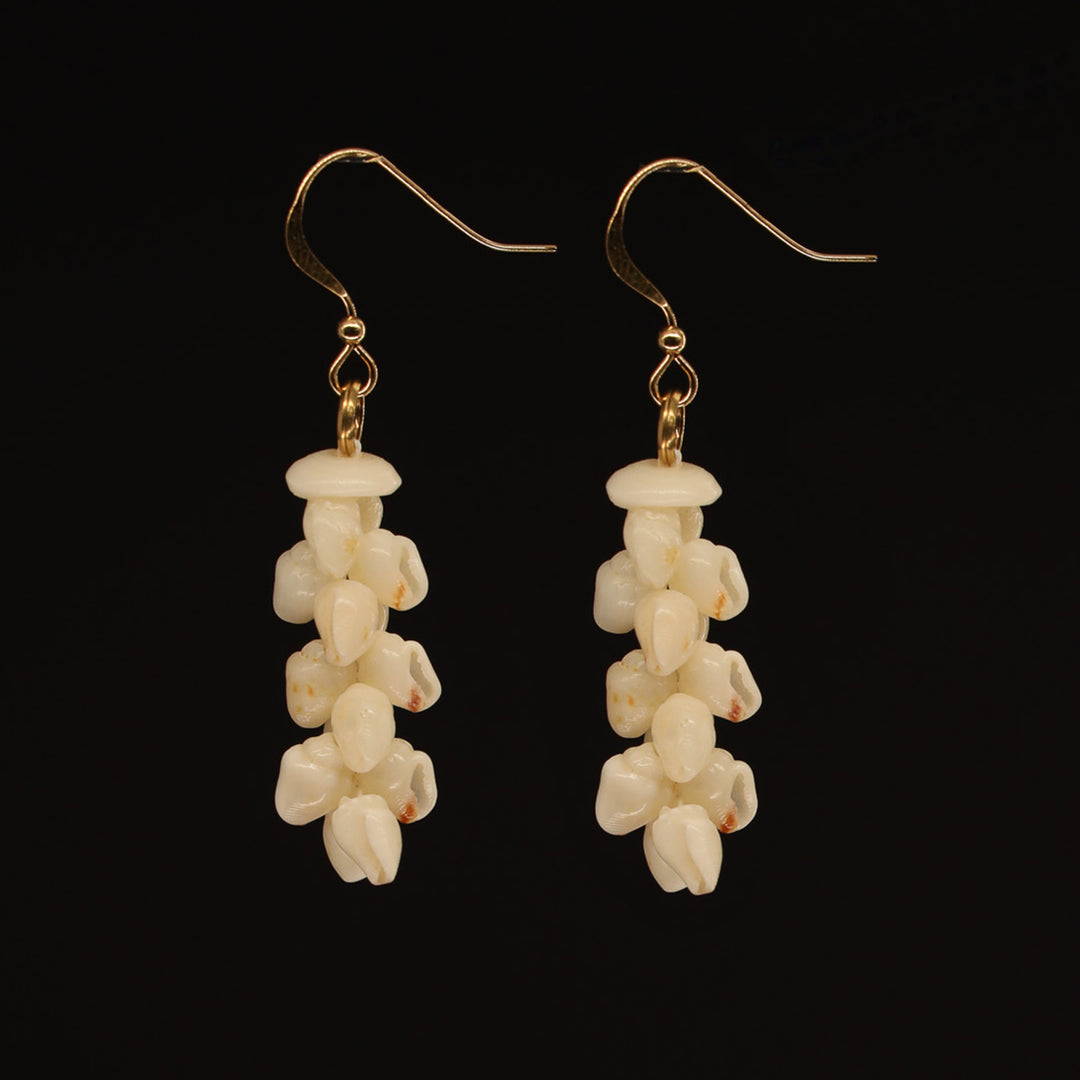 1" Niʻihau Shell Earring | Momi | Pīkake