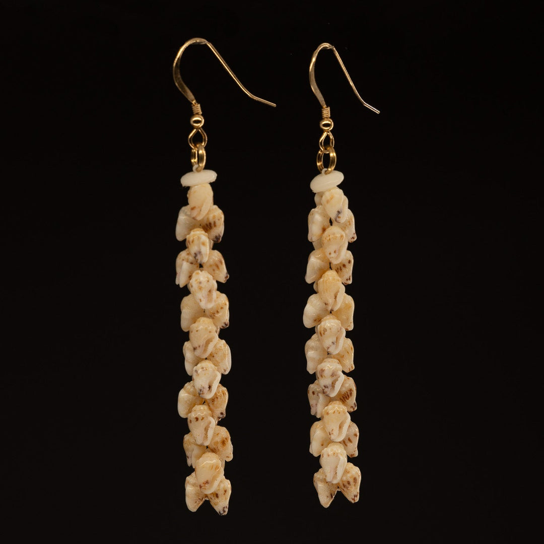 2.25" Niʻihau Shell Earring | Momi | Poepoe