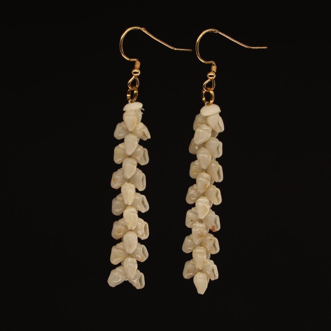 2" Niʻihau Shell Earring | Momi | Pīkake*