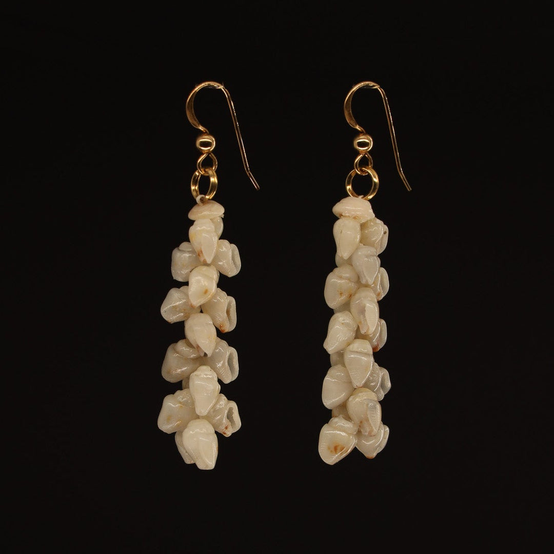 1.5" Niʻihau Shell Earring | Momi | Pīkake