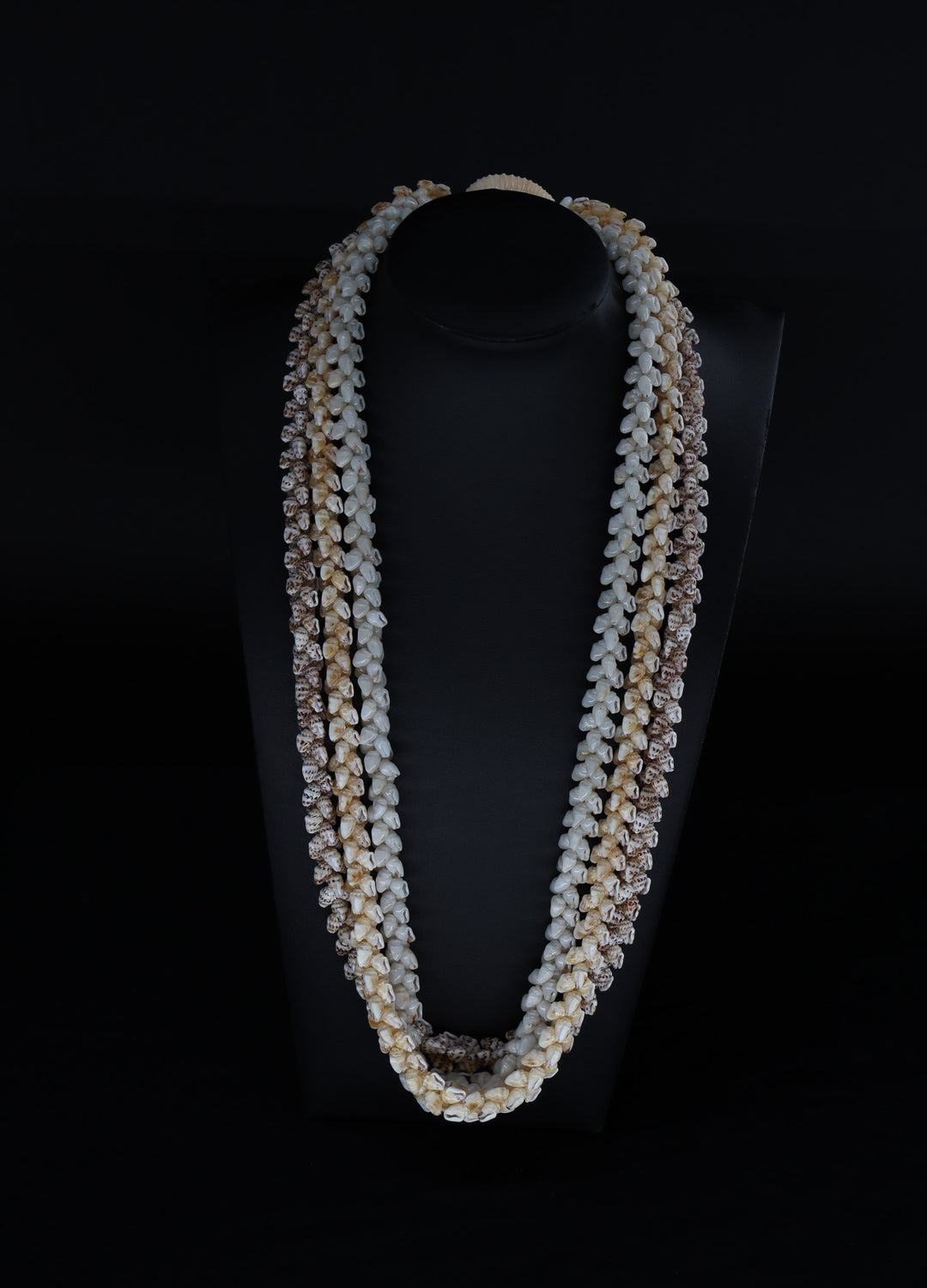 24" Niʻihau Shell Lei | 3 Strand| Momi