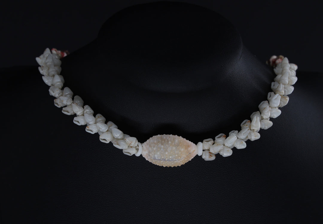 22.5" Niʻihau Shell Lei | Kipona Style