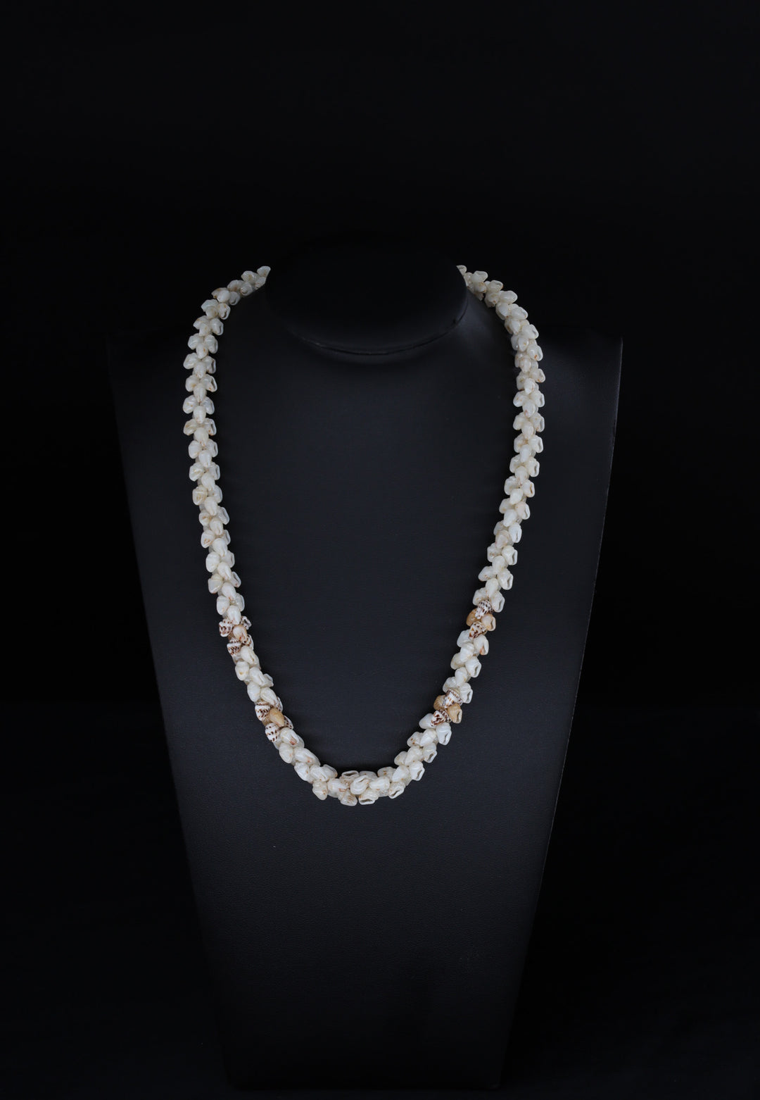 18.75" Niʻihau Shell Lei | Pikake Style