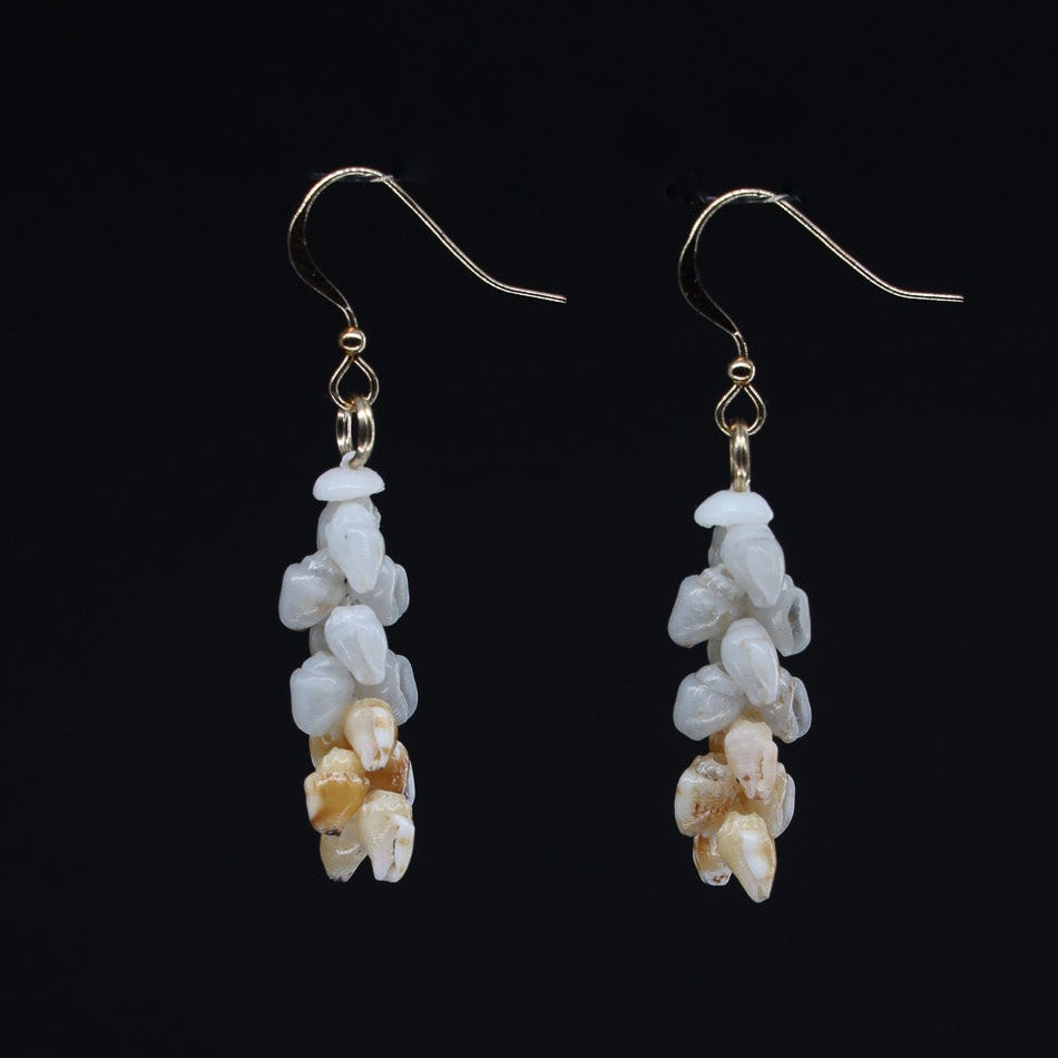 1" Niʻihau Shell Earring | Momi | Pīkake